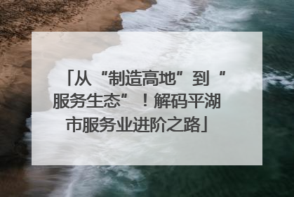 从“制造高地”到“服务生态”！解码平湖市服务业进阶之路