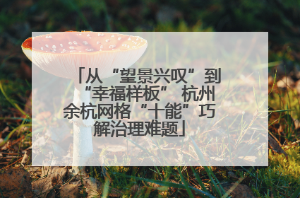 从“望景兴叹”到“幸福样板” 杭州余杭网格“十能”巧解治理难题
