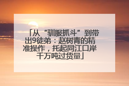 从“驯服抓斗”到带出9徒弟：赵树青的精准操作，托起同江口岸千万吨过货量
