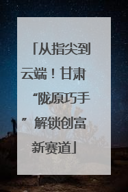 从指尖到云端！甘肃“陇原巧手”解锁创富新赛道