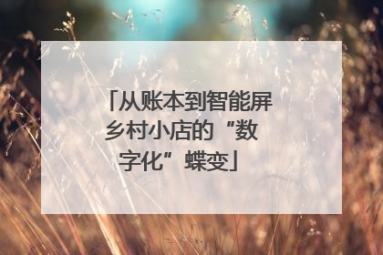 从账本到智能屏 乡村小店的“数字化”蝶变