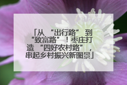 从 “出行路” 到 “致富路”！枣庄打造 “四好农村路”，串起乡村振兴新图景