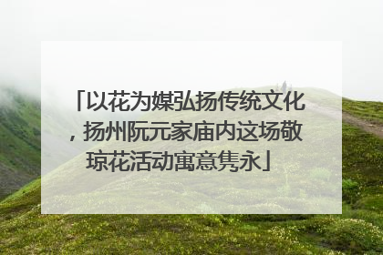 以花为媒弘扬传统文化，扬州阮元家庙内这场敬琼花活动寓意隽永