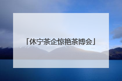 休宁茶企惊艳茶博会