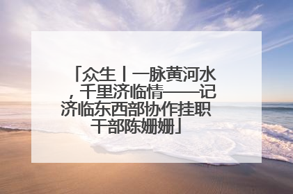 众生丨一脉黄河水，千里济临情——记济临东西部协作挂职干部陈姗姗