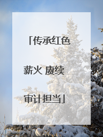 传承红色薪火 赓续审计担当
