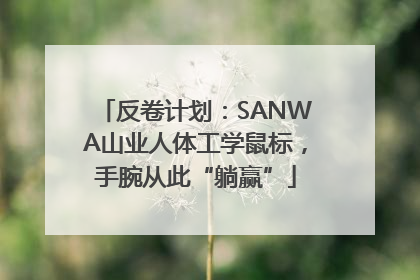 反卷计划：SANWA山业人体工学鼠标，手腕从此“躺赢”