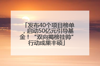 发布40个项目榜单，启动50亿元引导基金！“双向揭榜挂帅”行动成果丰硕