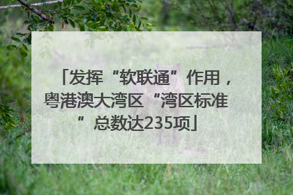 发挥“软联通”作用，粤港澳大湾区“湾区标准”总数达235项