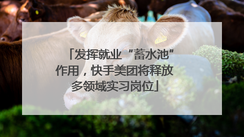 发挥就业“蓄水池”作用，快手美团将释放多领域实习岗位