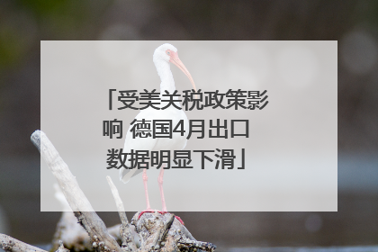 受美关税政策影响 德国4月出口数据明显下滑