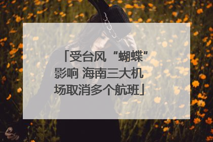 受台风“蝴蝶”影响 海南三大机场取消多个航班