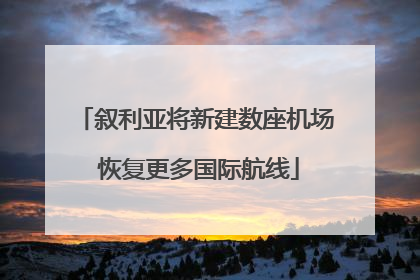叙利亚将新建数座机场 恢复更多国际航线