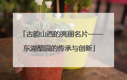古韵山西的亮丽名片——东湖醋园的传承与创新