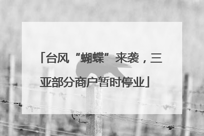 台风“蝴蝶”来袭，三亚部分商户暂时停业