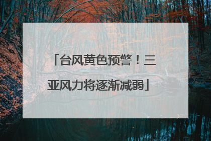 台风黄色预警！三亚风力将逐渐减弱