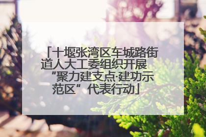 十堰张湾区车城路街道人大工委组织开展 “聚力建支点·建功示范区”代表行动