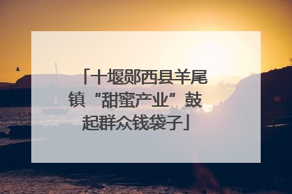 十堰郧西县羊尾镇“甜蜜产业”鼓起群众钱袋子