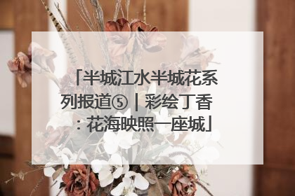 半城江水半城花系列报道⑤｜彩绘丁香：花海映照一座城