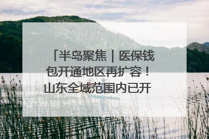 半岛聚焦｜医保钱包开通地区再扩容！山东全域范围内已开通，有何用处？如何操作？速戳→