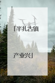 半扎古镇产业兴
