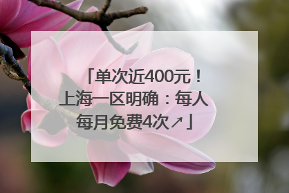单次近400元！上海一区明确：每人每月免费4次↗