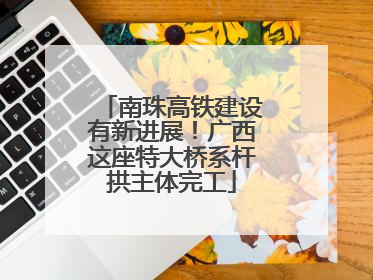 南珠高铁建设有新进展！广西这座特大桥系杆拱主体完工