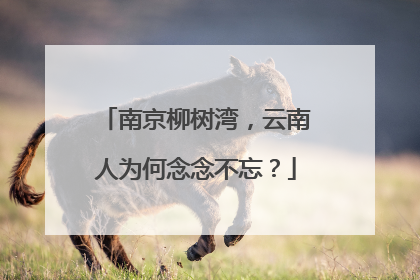 南京柳树湾，云南人为何念念不忘？