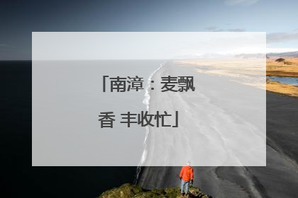 南漳：麦飘香 丰收忙