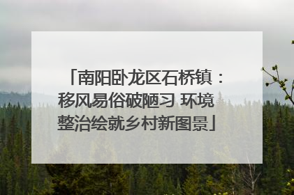 南阳卧龙区石桥镇：移风易俗破陋习 环境整治绘就乡村新图景