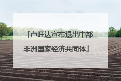 卢旺达宣布退出中部非洲国家经济共同体