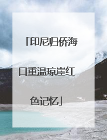 印尼归侨海口重温琼崖红色记忆