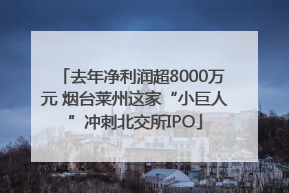 去年净利润超8000万元 烟台莱州这家“小巨人”冲刺北交所IPO