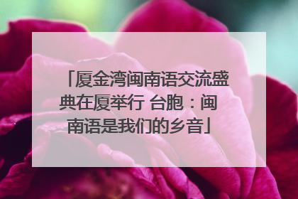 厦金湾闽南语交流盛典在厦举行 台胞：闽南语是我们的乡音