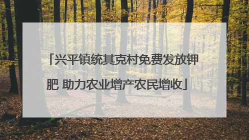 兴平镇统其克村免费发放钾肥 助力农业增产农民增收