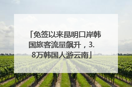 免签以来昆明口岸韩国旅客流量飙升，3.8万韩国人游云南