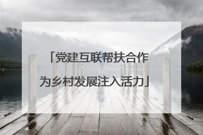 党建互联帮扶合作 为乡村发展注入活力