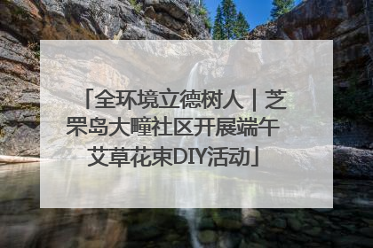 全环境立德树人｜芝罘岛大疃社区开展端午艾草花束DIY活动