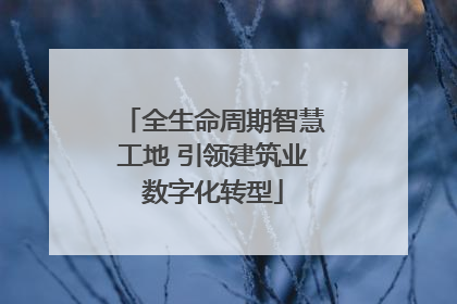 全生命周期智慧工地 引领建筑业数字化转型