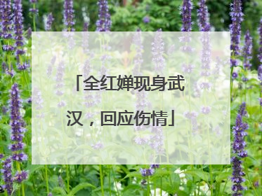 全红婵现身武汉，回应伤情