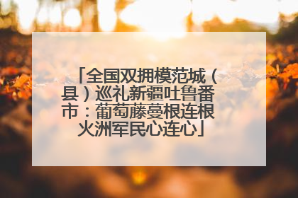 全国双拥模范城（县）巡礼新疆吐鲁番市：葡萄藤蔓根连根 火洲军民心连心