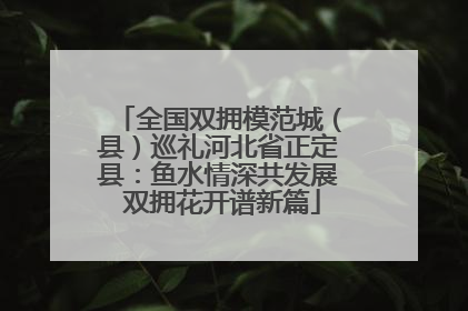 全国双拥模范城（县）巡礼河北省正定县：鱼水情深共发展 双拥花开谱新篇
