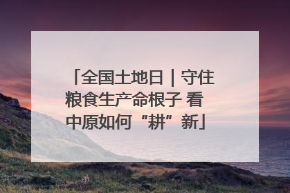 全国土地日｜守住粮食生产命根子 看中原如何“耕”新