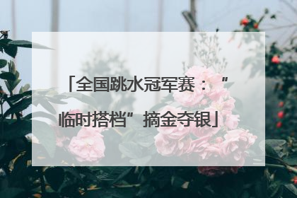 全国跳水冠军赛：“临时搭档”摘金夺银