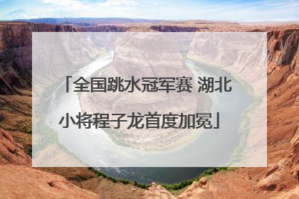 全国跳水冠军赛 湖北小将程子龙首度加冕