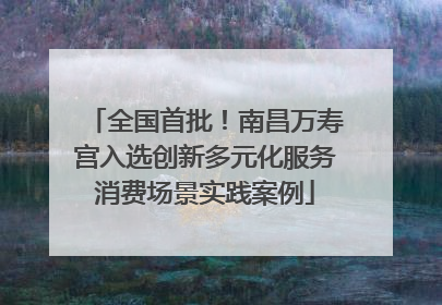 全国首批！南昌万寿宫入选创新多元化服务消费场景实践案例