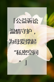 公益诉讼温情守护，为母爱撑起“私密空间”