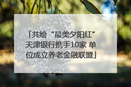 共绘“最美夕阳红” 天津银行携手10家 单位成立养老金融联盟