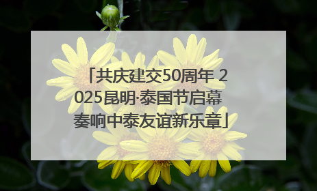 共庆建交50周年 2025昆明·泰国节启幕 奏响中泰友谊新乐章