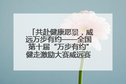 共赴健康愿景，威远万步有约——全国第十届“万步有约”健走激励大赛威远赛区启动仪式